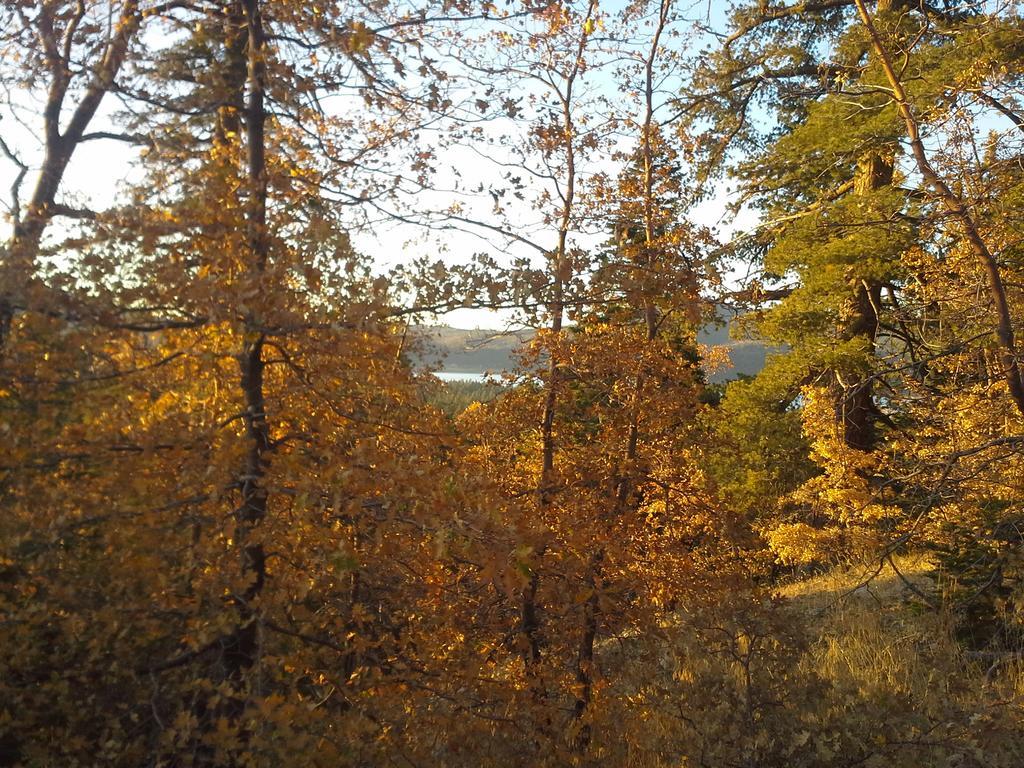 Hillcrest Suites & Cabins Big Bear Lake Exterior foto